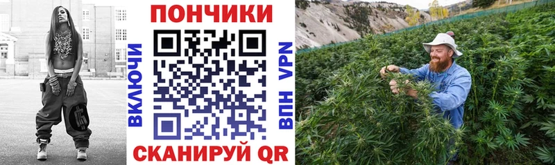 Шишки марихуана марихуана  Купить  Ачхой-Мартан 